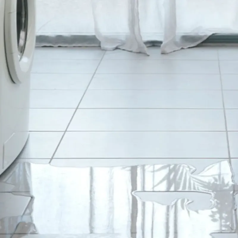 Appliance Leak Cleanup in Belton, TX