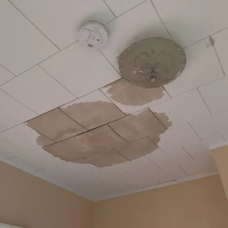 Ceiling Water Damage Repair in Belton, TX
