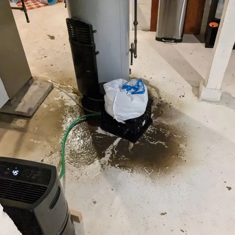 Sewage Backup Cleanup Service in Belton, TX